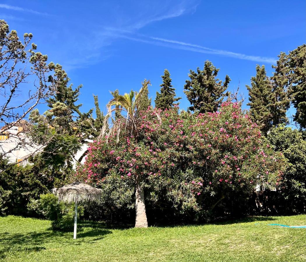 Casa Piscina Villa Marbella Eksteriør billede